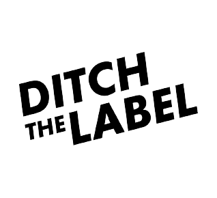 Ditch the Label, Youth Charity